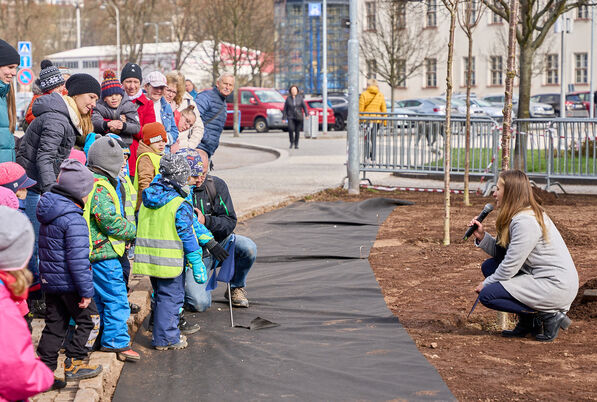 Sázení stromů s Výborem dobré vůle - Nadace Olgy Havlové v Trutnově