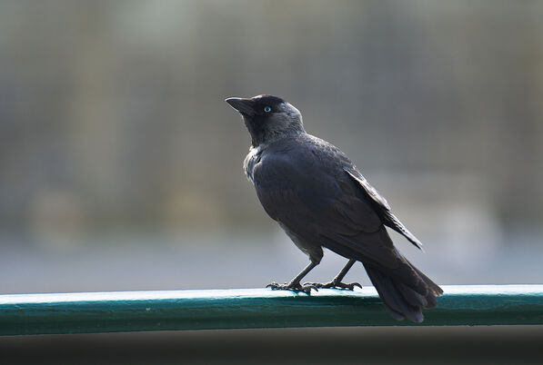 2023_05_vystava_kazdy_den_je_dar155