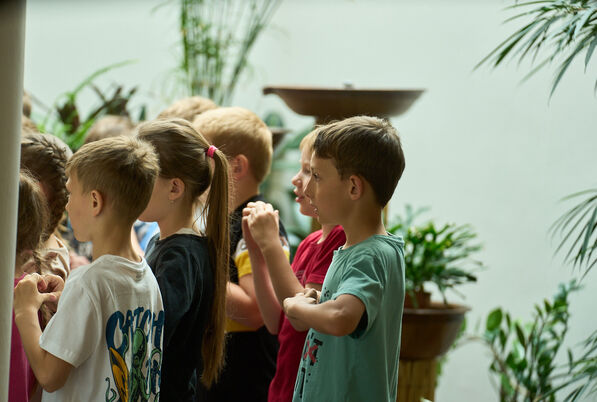 2024_05_hac_zus_srdicka1899