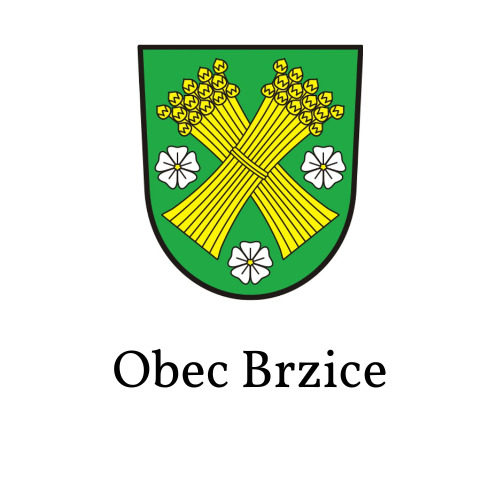Obec Brzice