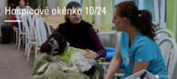 Hospicové okénko 10/24