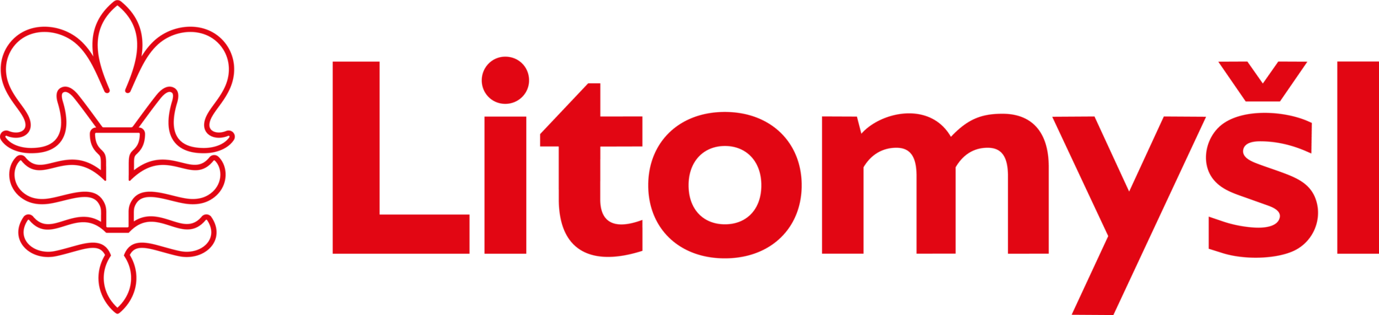 Město Litomyšl