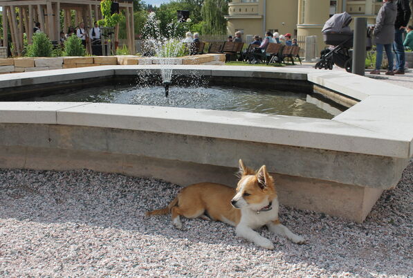 IMG_2848