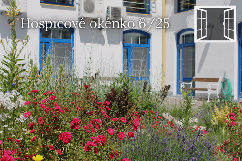 Hospicové okénko