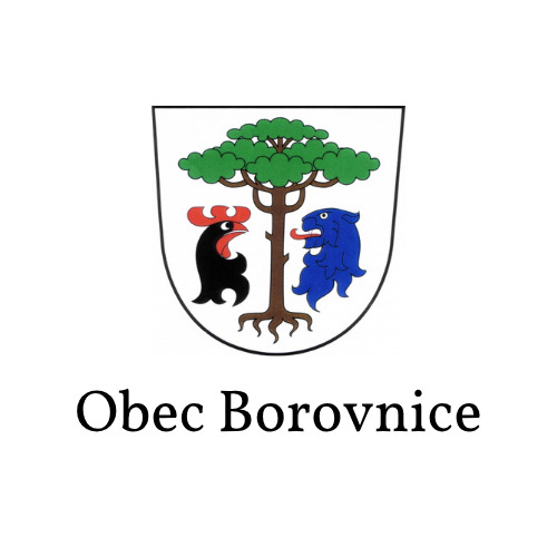 Obec Borovnice