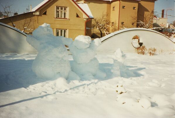 1996_06_hospic22